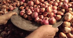 আমদানির খবরে কমলো দেশি পেঁয়াজের দাম