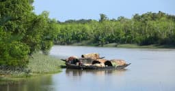 সুন্দরবনে অপহৃত রিসোর্ট মালিকসহ ৩ পর্যটক ছাড়তে মুক্তিপণ দাবি