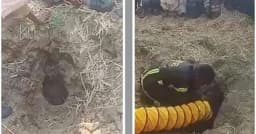 ৩০ ফুট গভীর নলকূপে পড়ে গেছে দুই বছরের শিশু, জীবিত উদ্ধারের চেষ্টা