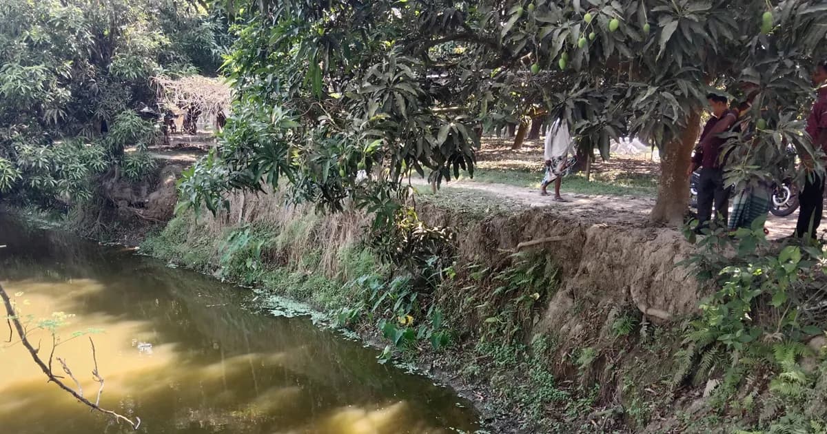 বাঘায় পুকুর থেকে চা বিক্রেতার রহস্যজনক লাশ উদ্ধার