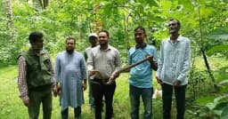 সাতছড়ি জাতীয় উদ্যানে পদ্মগোখরা ও দাঁড়াশ সাপ অবমুক্ত