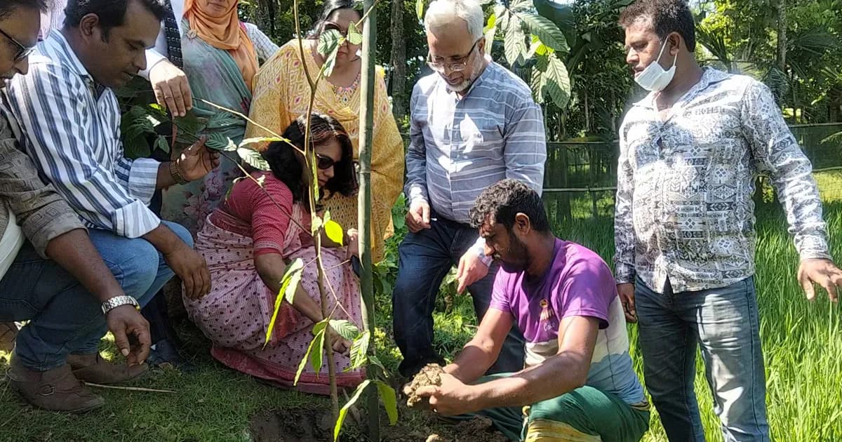 নেত্রকোণায় ৫০০ গাছ লাগানোর উদ্যোগ, পরিচর্যায় জোর ইউএনওর