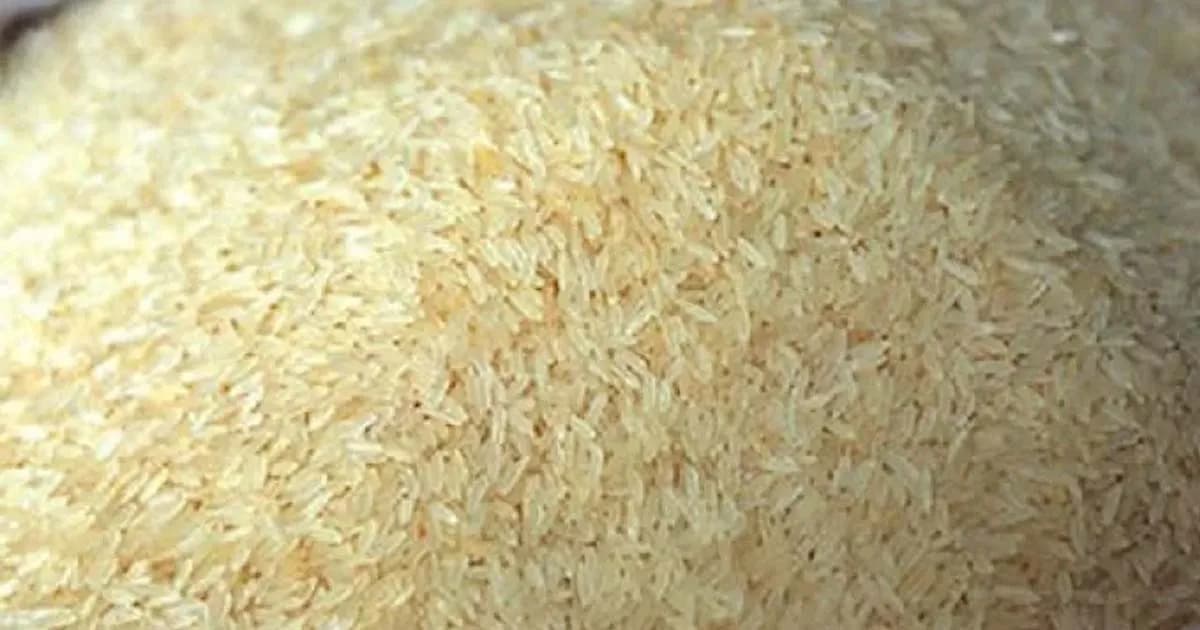 কালুখালীতে খাদ্যবান্ধব কর্মসূচীর চাউল বিতরণ