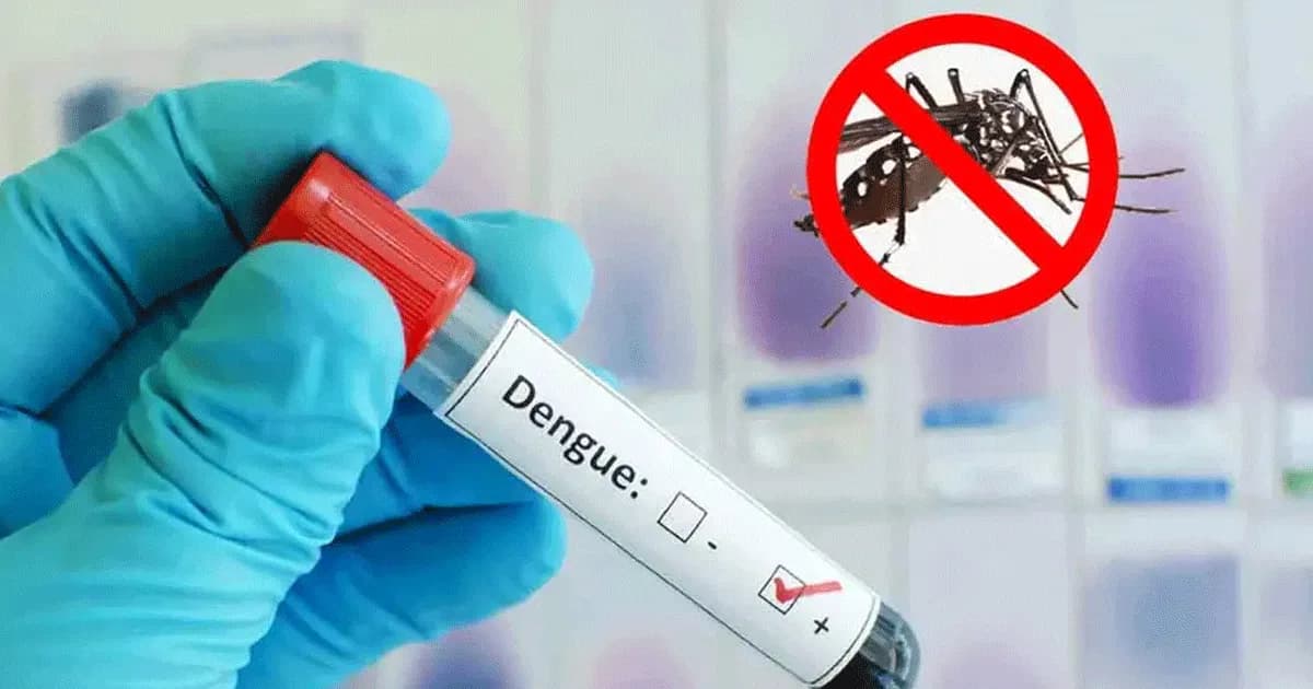 ডেঙ্গুতে আরও ৩ জনের মৃত্যু, একদিনে হাসপাতালে ভর্তি ৩৭২