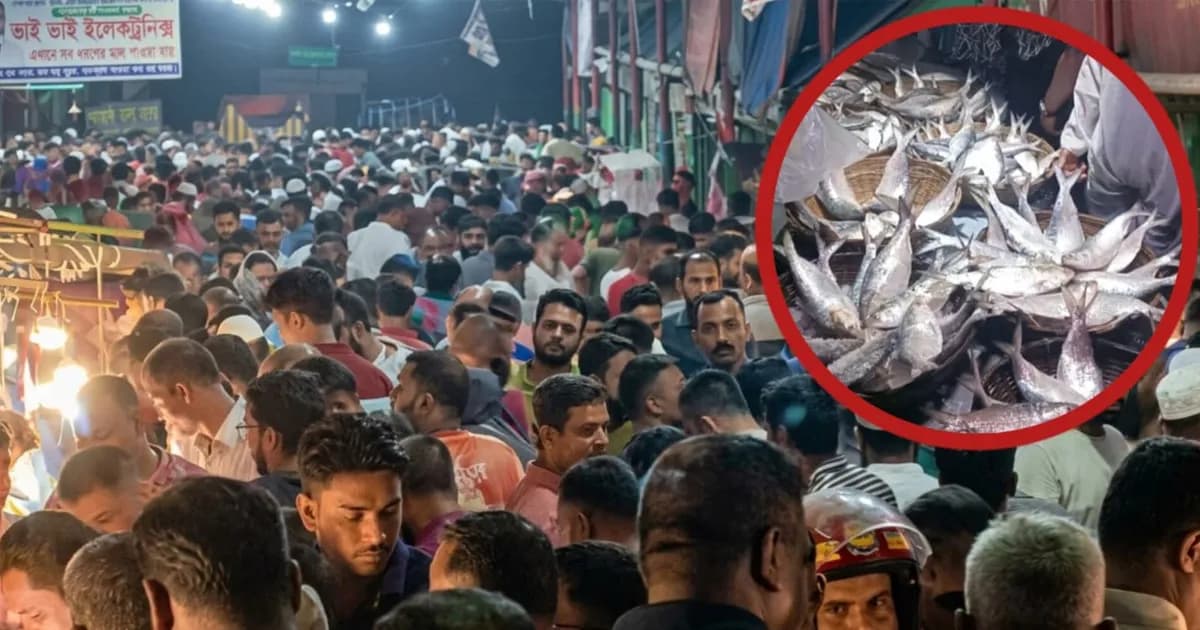 ইলিশের দাম কমতেই জমজমাট টরকী বন্দরের রাতের বাজার