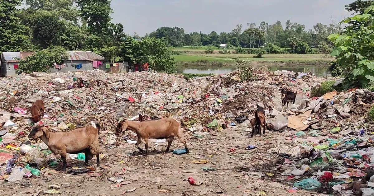 স্থায়ী ভাগাড় নেই শেরপুরে, ময়লার ঠিকানা করতোয়া নদী