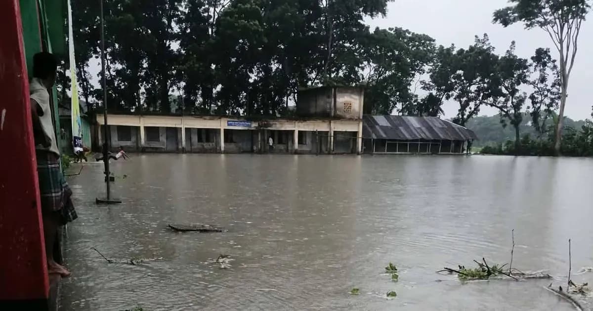 বিষখালীর ভাঙনে নলছিটিতে হুমকির মুখে দুই বিদ্যালয়
