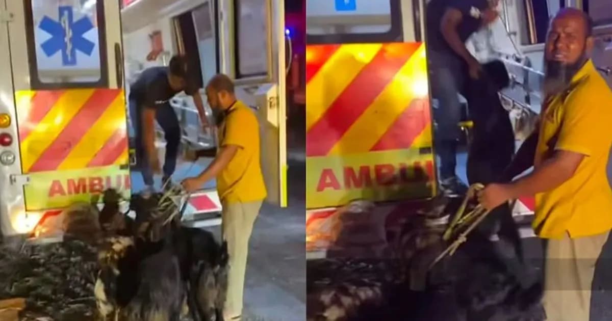 সরকারি অ্যাম্বুলেন্সে ছাগল বহনের ঘটনায় চালক বরখাস্ত