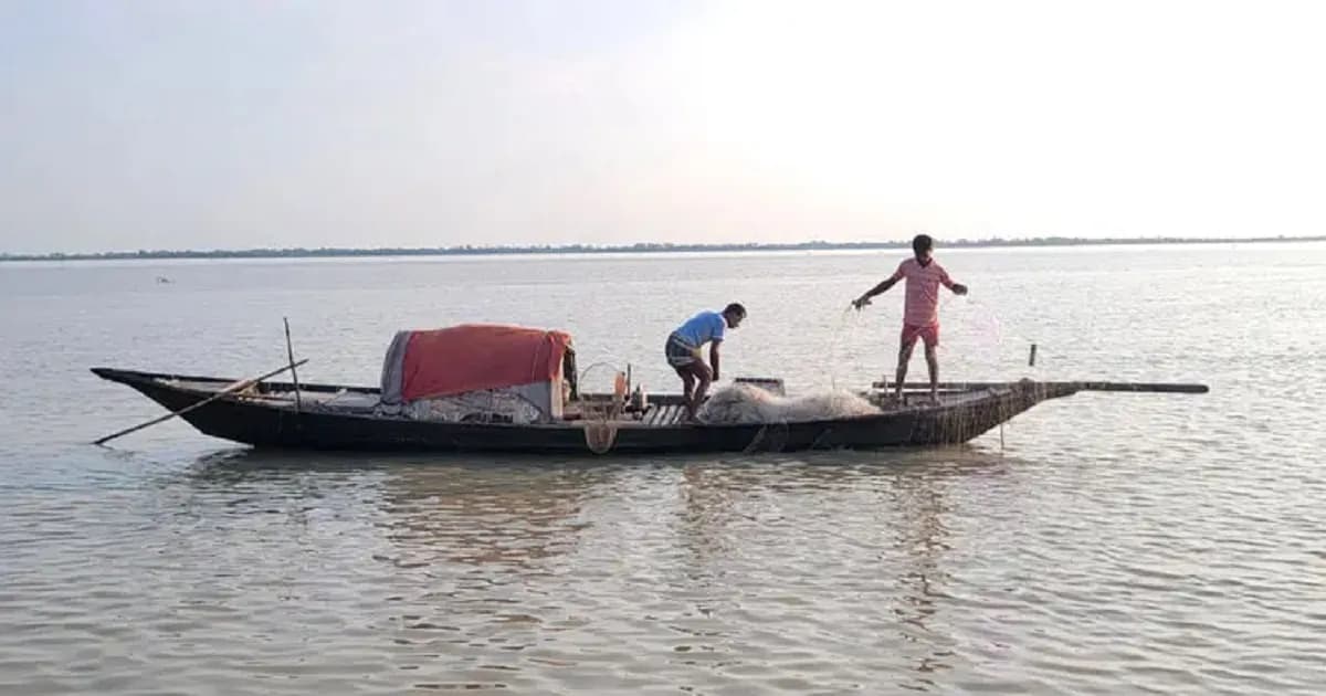 পদ্মায় ইলিশের আকাল, জাল-নৌকা বিক্রি করে পেশা বদলাচ্ছে জেলেরা