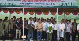 রোপণ করলেই দায়িত্ব শেষ নয়, শিশুর মতো যত্ন নিতে হবে