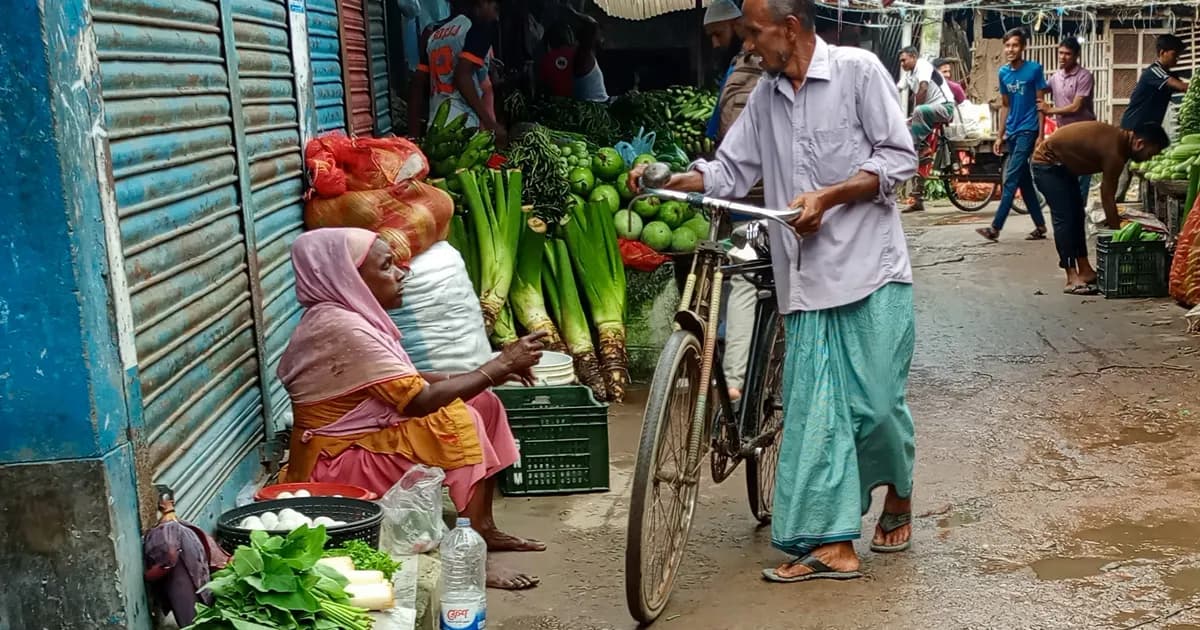 ভিক্ষা নয়, সবজি বিক্রিতেই আত্মমর্যাদার জীবন ফুলবাড়ীর রশিদা বেগমের