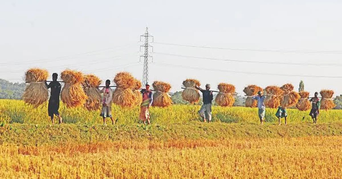 জাতীয় উৎপাদনশীলতা দিবস আজ