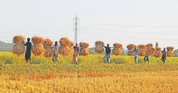 জাতীয় উৎপাদনশীলতা দিবস আজ