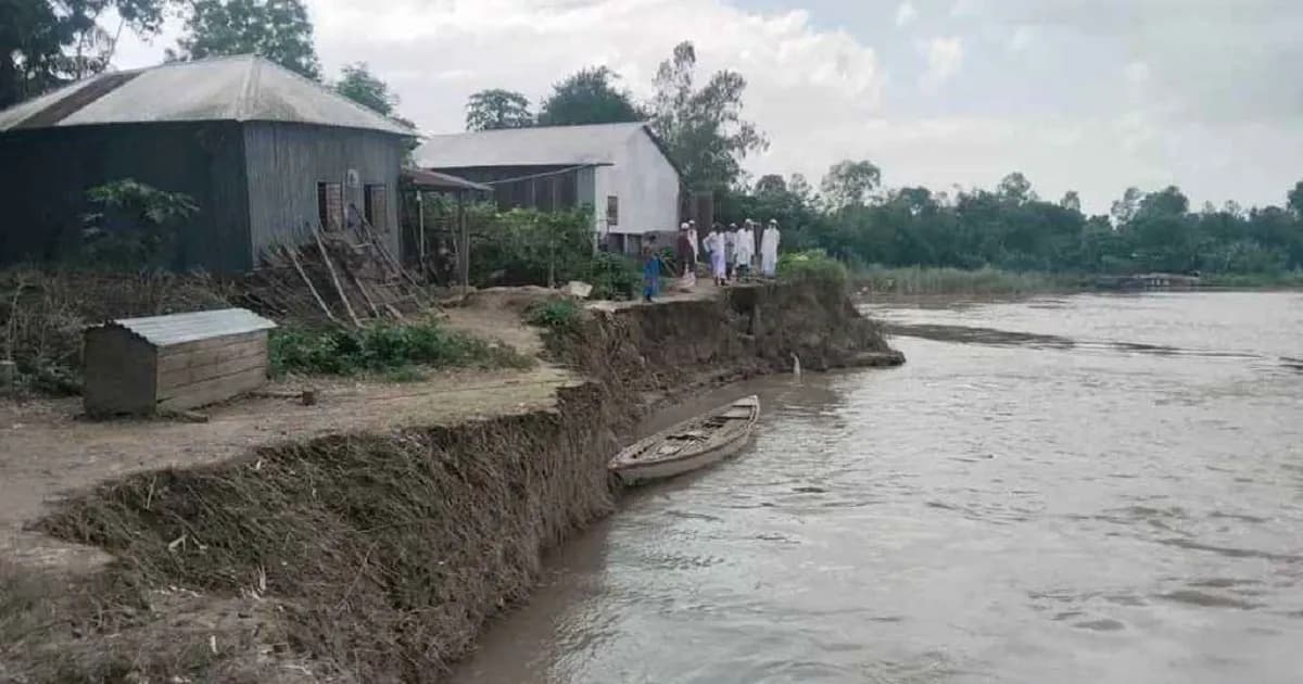 যমুনার ভাঙনে বসতভিটা হারাচ্ছে শতাধিক পরিবার, বাড়ছে আতঙ্ক