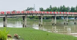 লবণাক্ত পানিতে হুমকিতে পেকুয়ার আমন ও বোরো চাষ