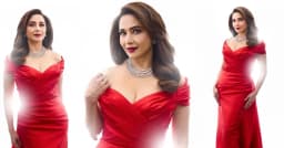 ভিন্নধর্মী চরিত্রে নেটফ্লিক্সে ঝড় তুলেছে মাধুরী দীক্ষিতের ‘মা বেহেন’