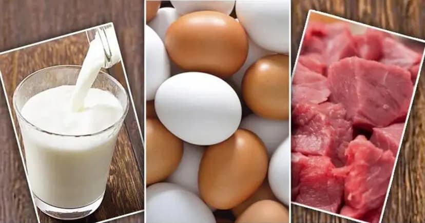 রমজানে রাজধানীতে সুলভ মূল্যে দুধ-ডিম-মাংস বিক্রি করবে সরকার