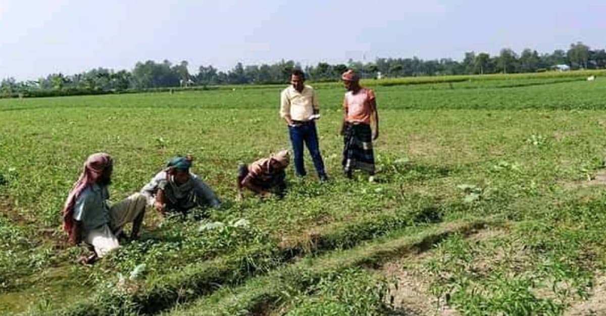 শীত কালীন সবজি চাষে ব্যস্ত কৃষক