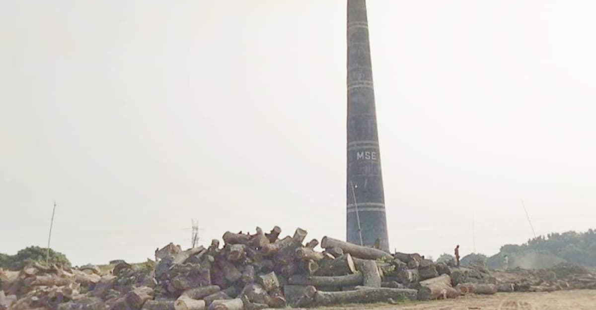 পাবনায় ইট ভাটায় পোড়ানো হচ্ছে কাঠ,হুমকির মুখে পরিবেশ