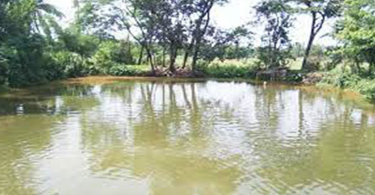 মাদারীপুরে পুকুরের পানিতে ডুবে শিশুর মৃত্যু