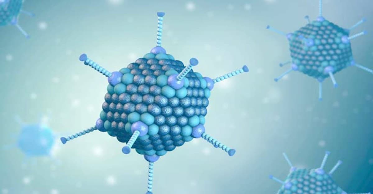 কলকাতায় অ্যাডিনোভাইরাসে প্রাণ গেল এক শিশুর