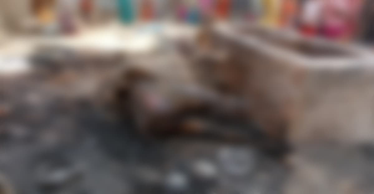 মেহেরপুরে বসত বাড়ি পুড়ে ছাই