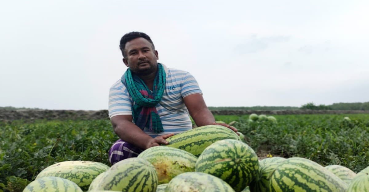 পতিত জমিতে দলবদ্ধ হয়ে তরমুজ চাষে শিক্ষিত বেকার যুবকরা