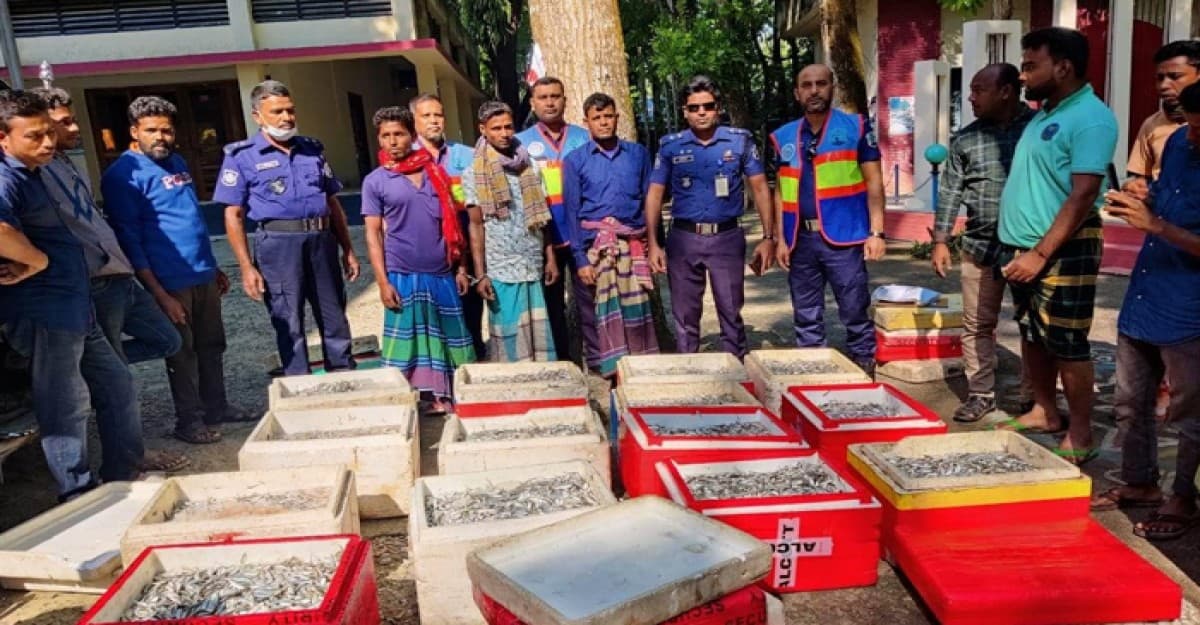 বেড়ায় জাটকা বিক্রির দায়ে জরিমানা