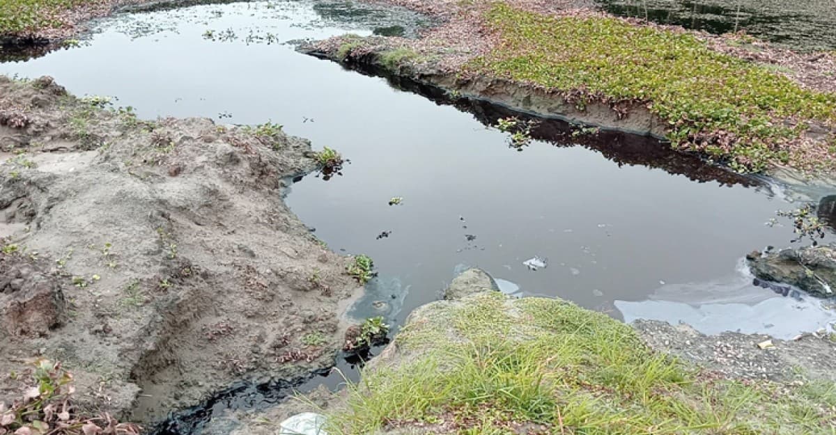 প্রসেস মিলের বর্জ্যে দূষিত আত্রাই নদী