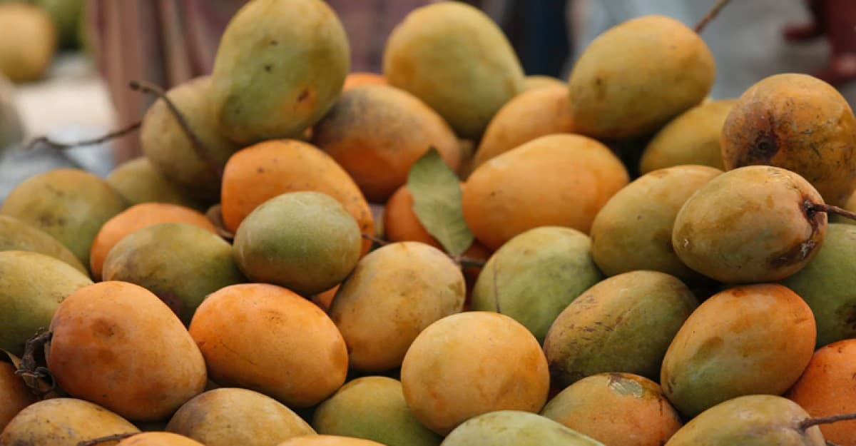 যেভাবে মিষ্টি আম চিনবেন