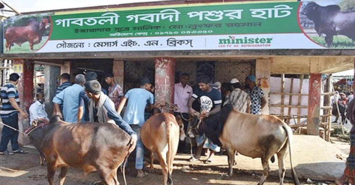 কোরবানির হাটে হাসিল নেওয়া বন্ধ চেয়ে রিট