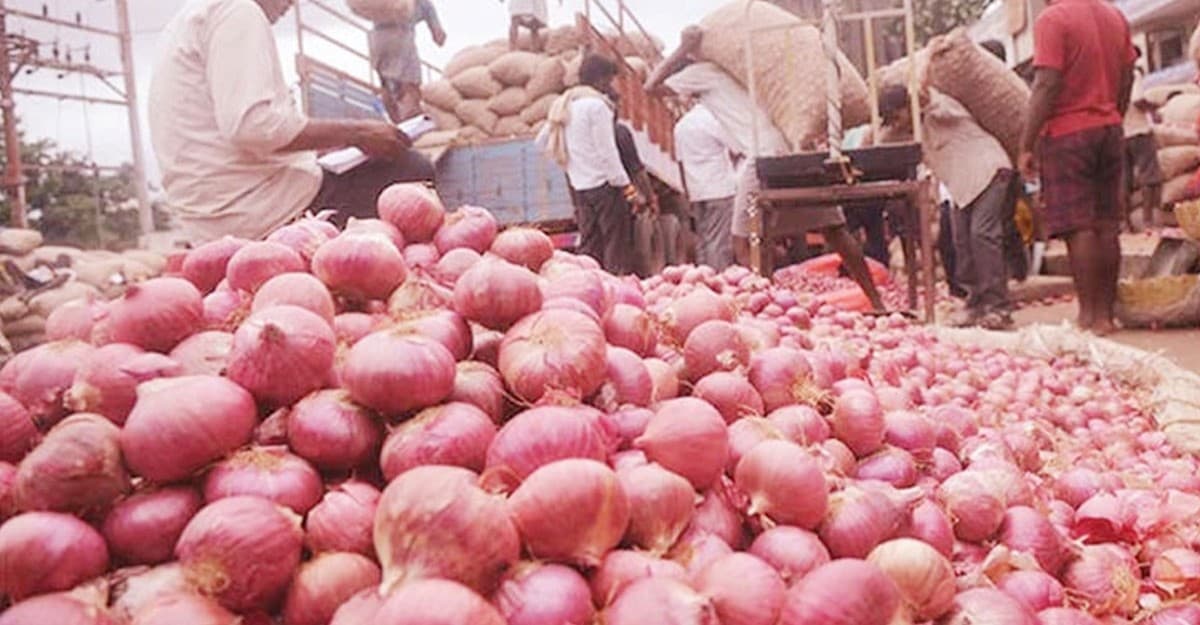 কাল থেকে পেঁয়াজ আমদানির অনুমতি