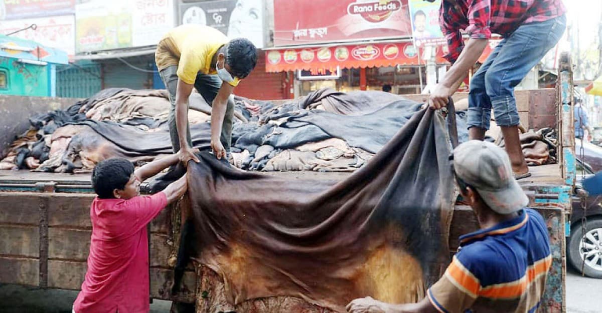 কোরবানির পশুর চামড়া প্রতি বর্গফুট ১২০ টাকা নির্ধারণের দাবি