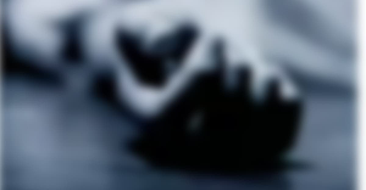 মাথায় হাতুড়ি মেরে বন্ধুকে খুন!