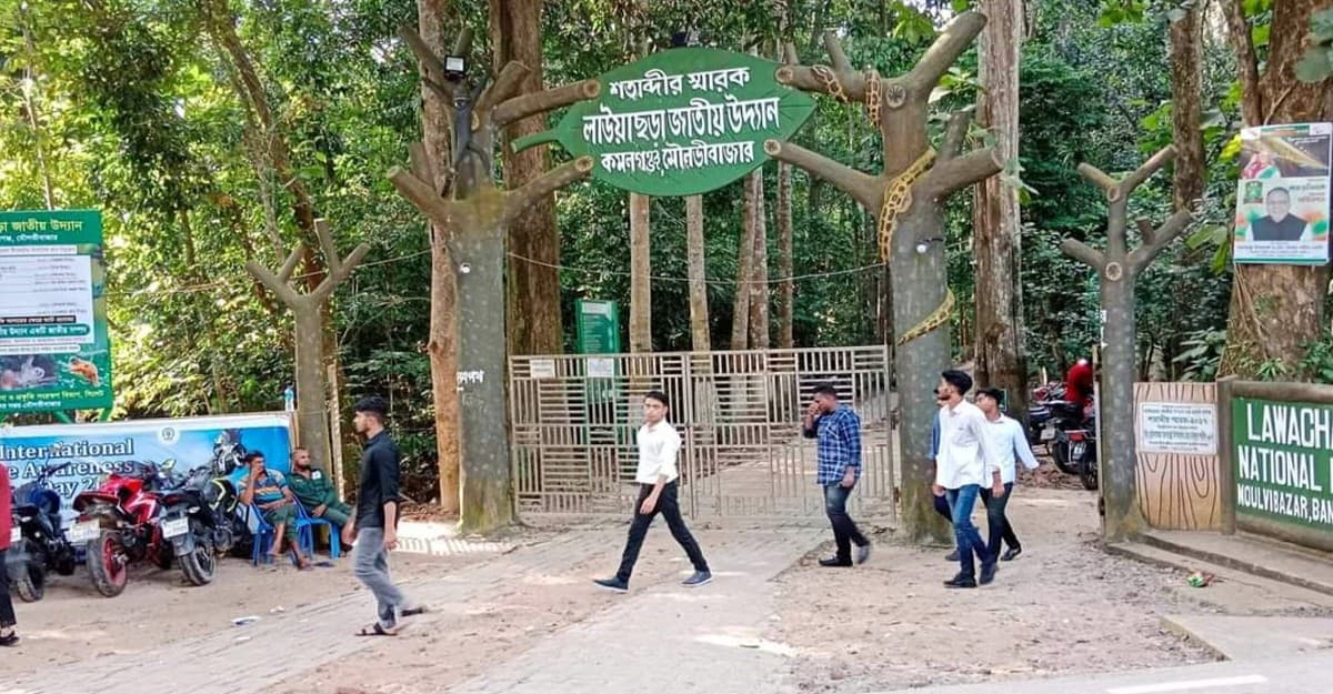 ঈদের ছুটিতে ঘুরে আসুন প্রকৃতির জাদুঘর কমলগঞ্জ-শ্রীমঙ্গলে