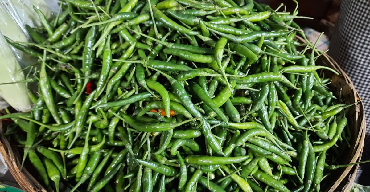 আরও ৩৭ হাজার টন কাঁচা মরিচ আসবে