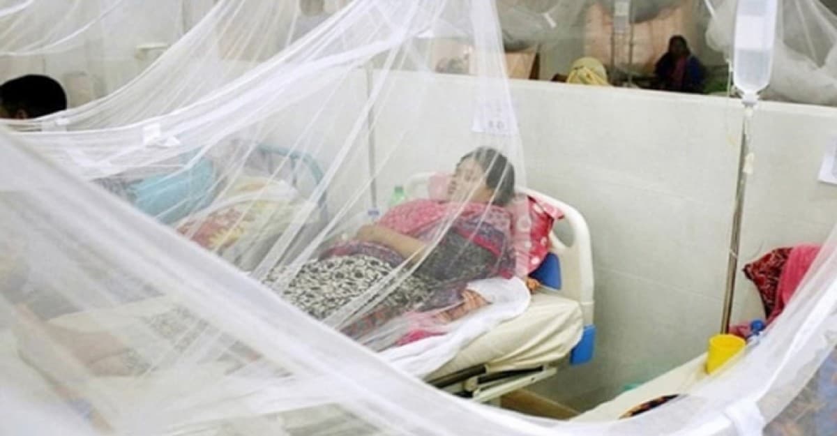 ডেঙ্গুতে আরও ৫ জনের প্রাণহানি, হাসপাতালে ৬৭৮