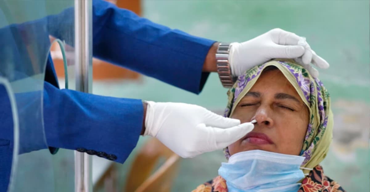 গত ২৪ ঘণ্টায় ৯২ জনের করোনা শনাক্ত