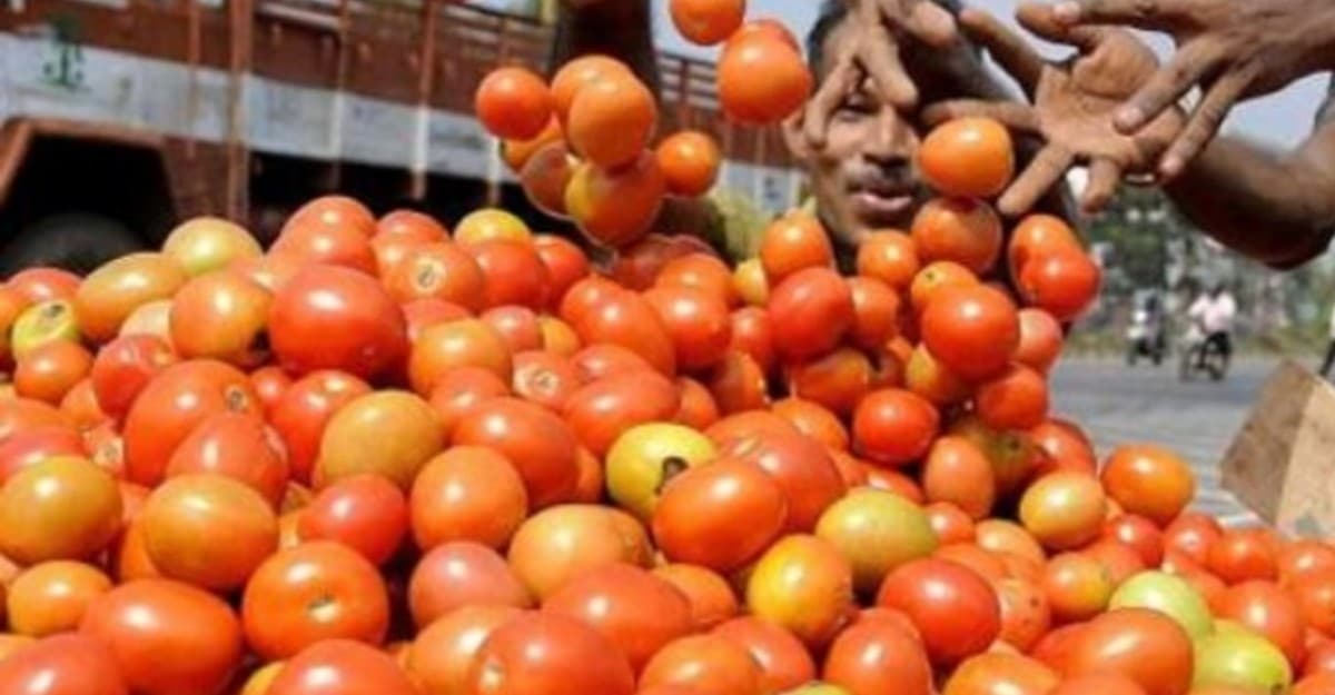ট্রাকভর্তি টমেটো ছিনতাই করল স্বামী-স্ত্রী