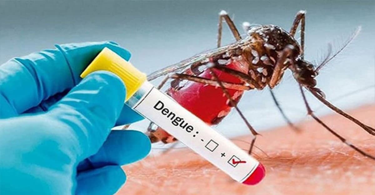 ডেঙ্গুতে একদিনে মৃত্যু ১৬, হাসপাতালে ভর্তি ২৪১৮