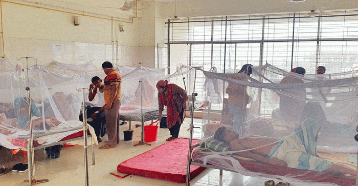 ডেঙ্গু কেড়ে নিল আরও ১০ জনের প্রাণ