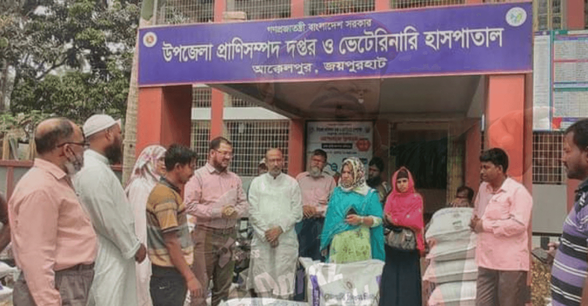 আক্কেলপুরে এলডিডিপির আওতায় সোনালি মুরগির খাবার বিতরণ