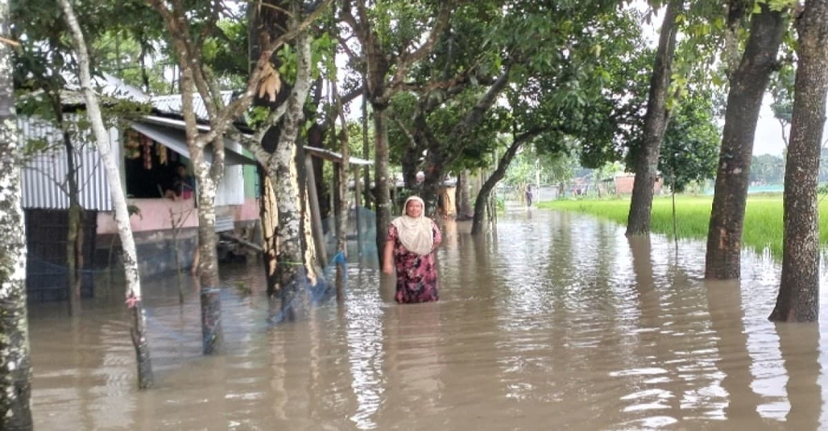 সাতার কাটছে ময়মনসিংহ নগরী, জেলা জুড়ে বৃষ্টির ভয়াবহতা