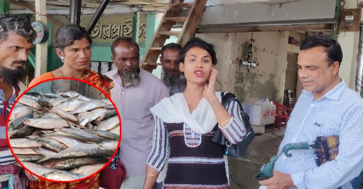 ইলিশে ভরপুর মৎস্য বন্দর, হাঁকডাকে হিজড়ারা