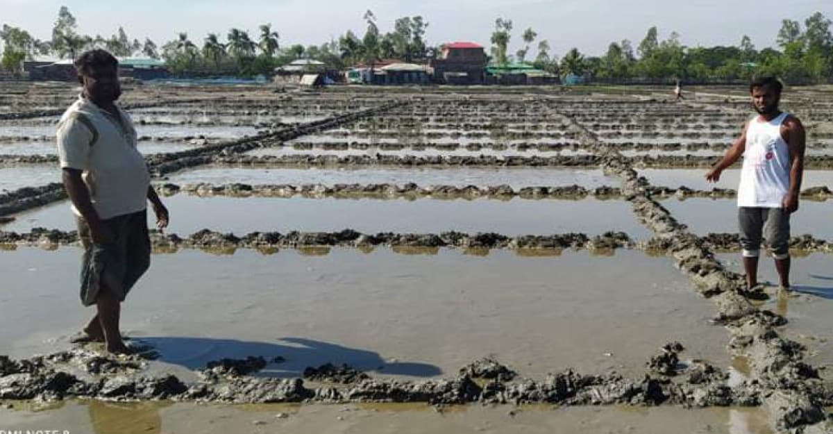 চাঁদা না পেয়ে পেকুয়ায় লবণ মাঠে তাণ্ডব