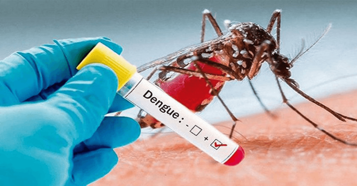 একদিনে ডেঙ্গুতে একদিনে ৭ জনের মৃত্যু