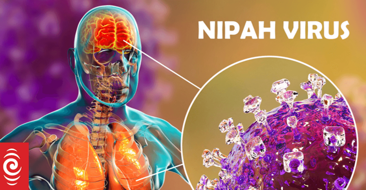 নিপাহ ভাইরাস নিয়ে জরুরী স্বাস্থ্য বার্তা
