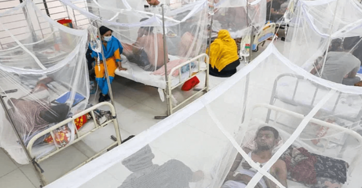 একদিনে ডেঙ্গুতে ২ জনের মৃত্যু, হাসপাতালে ভর্তি ৩০৮