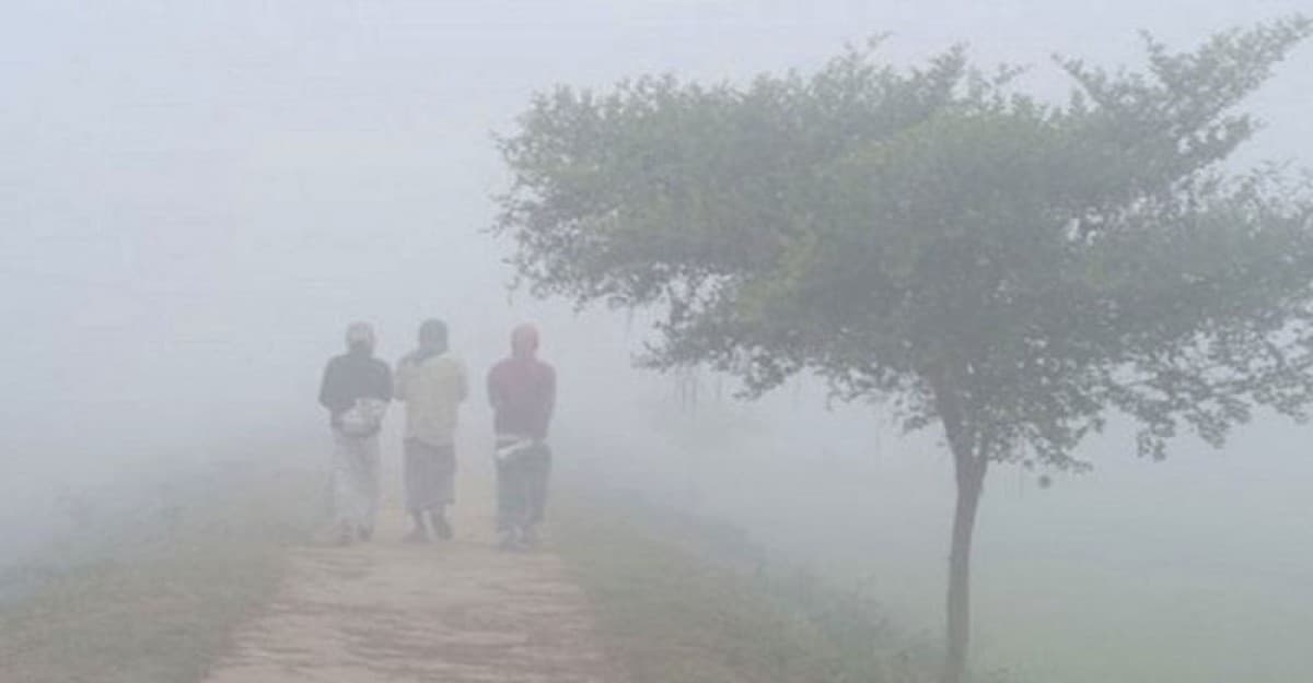 চুয়াডাঙ্গায় শীতের প্রকোপ বেড়েছে, তাপমাত্রা ১০.৬ ডিগ্রি