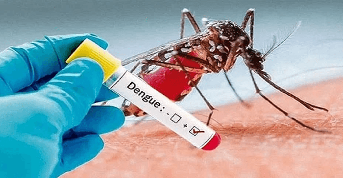 একদিনে ডেঙ্গুতে ৪ জনের মৃত্যু, হাসপাতালে ২৩৯